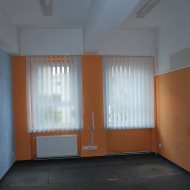Lokal na wynajem