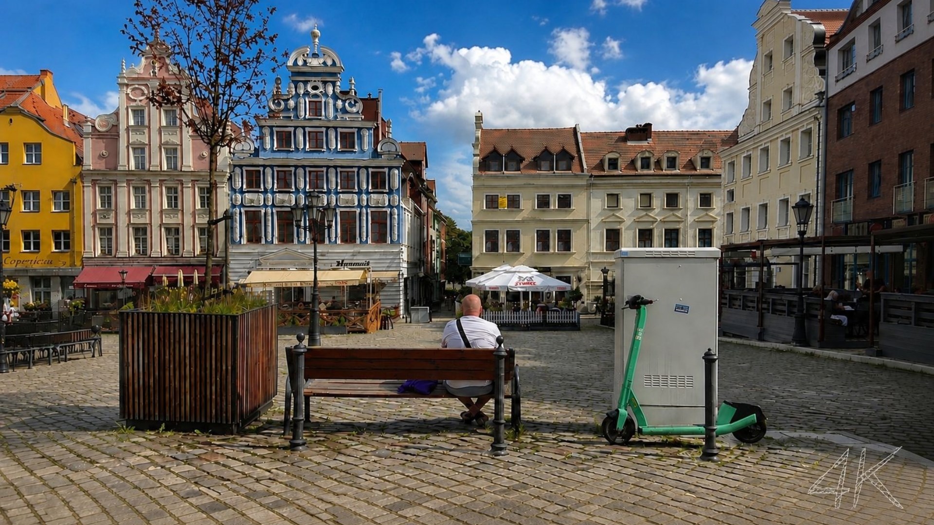 Lokal na wynajem
