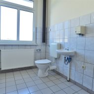 Lokal na wynajem