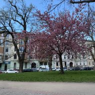 Lokal na sprzedaż