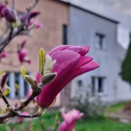 Dom na sprzedaż